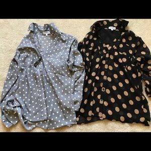 Express portifino shirts